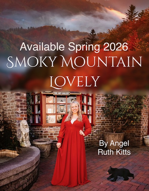 When Macy Jo sets out to open an art gallery in the Smoky Mountains, with the help of her artist grandmother, Priscilla, a break-in on opening day has them searching for answers to a mystery surrounding a painting from long ago. Macy meets Noah, who repairs her broken window, and she wonders if he might be the one to repair her broken heart as well. Macy’s grandmother knows a secret concerning the painting the thief is after, and he is willing to abduct both her and a black bear cub as leverage to learn the secret. Could the answers be found in Priscilla’s journal? It takes us back to the fun fifties in post war America where Priscilla meets Brinnon Benjamin, who left the Netherlands on the last ship out before his homeland was bombed. He cares for Priscilla, but she has a strong connection to her faith. Can he ever get passed his resentment over losing his parents to believe in a loving God? Can Macy solve the mystery and locate the painting in time to save her grandmother and the bear cub?<br />
